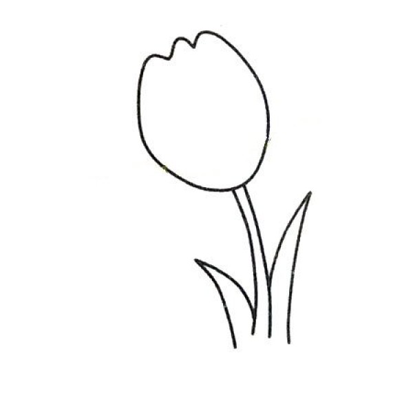 Draw beautiful simple drawings of tulips in four steps