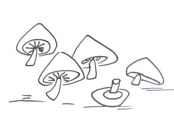 How to draw mushrooms in simple strokes