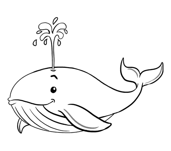 How to draw a whale