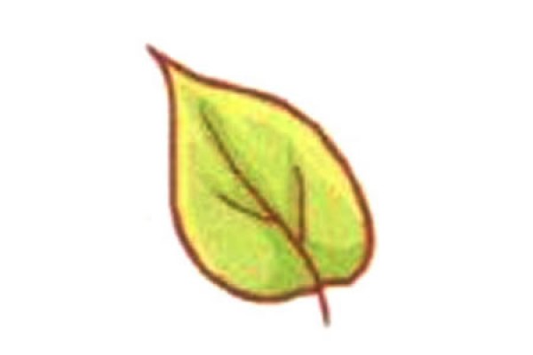 Simple leaf drawing tutorial