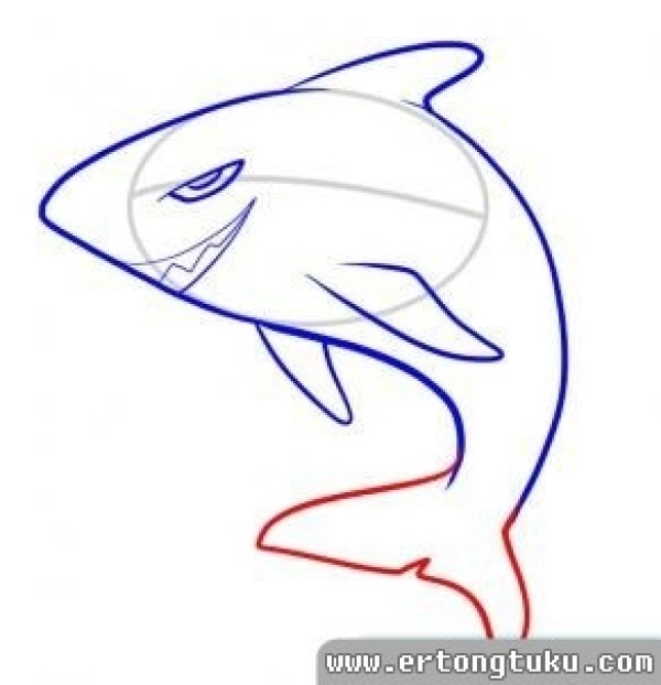 How to draw a shark simple drawing steps