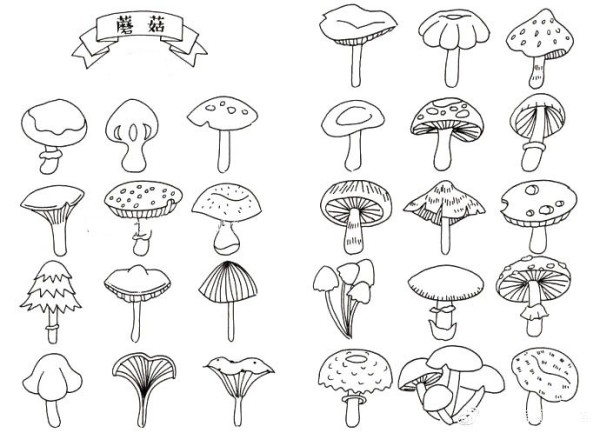 Mushroom black and white handbook material collection