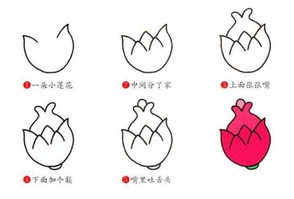 Step by step drawing of dragon fruit in simple strokes: How to draw dragon fruit