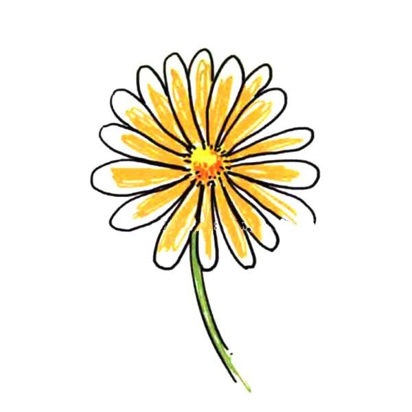 Draw a small flower for yourself Wild Chrysanthemum