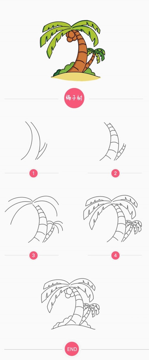 How to draw coconut tree in simple strokes