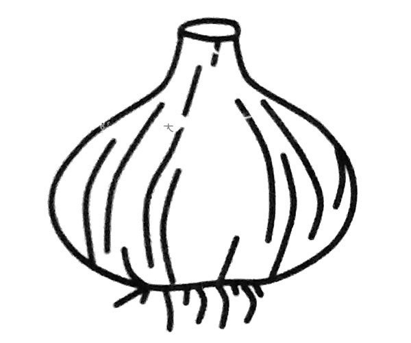 Garlic head simple drawing picture