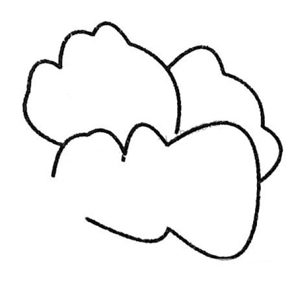 Complete collection of simple strokes of cabbage and drawing steps