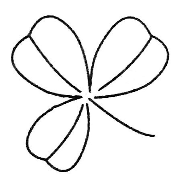 Clover simple drawing pictures and drawing steps