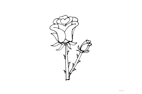 Rose flower simple strokes