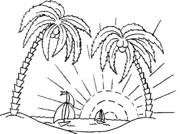 Primary school student coconut tree simple drawing design material