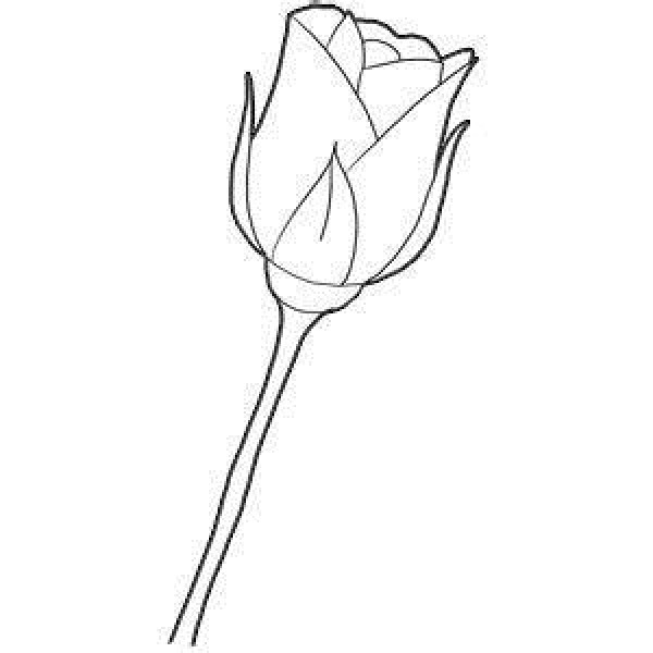 How to draw a rose with simple strokes