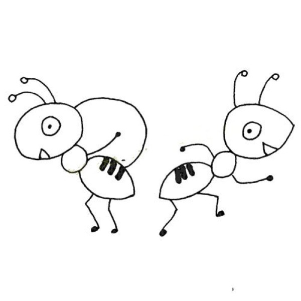 Ant relay transport