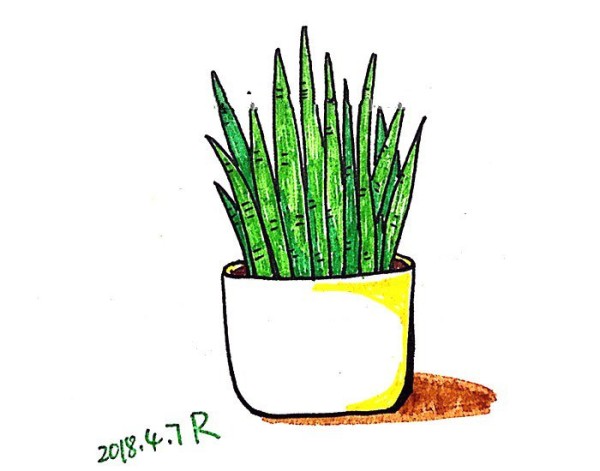 Simple drawing of beautiful small potted plant