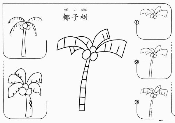 How to draw a coconut tree