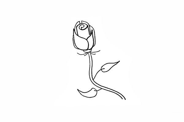 How to draw purple rose