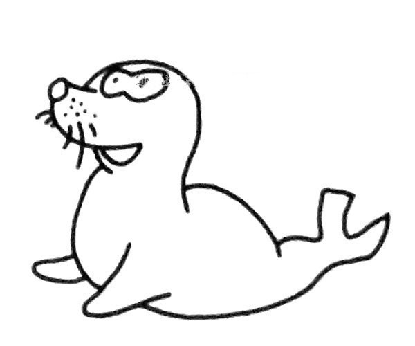 A set of cute simple drawing pictures of sea lions