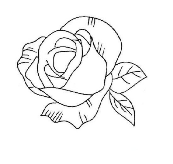 Beautiful rose flower simple strokes