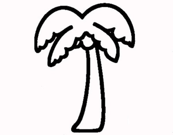 How to draw coconut trees with simple strokes