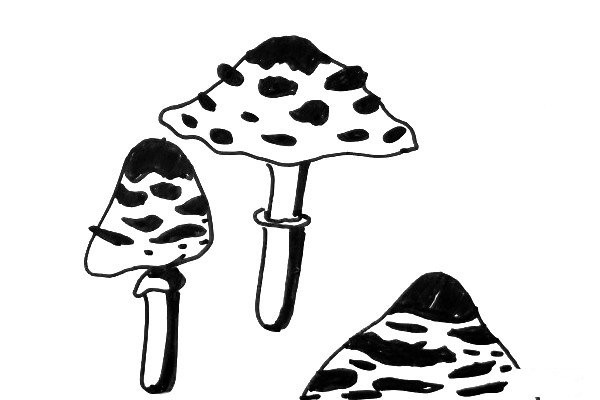 Black and white line drawing small mushroom