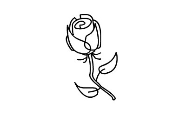 How to draw simple roses