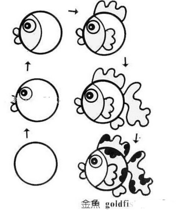 Goldfish simple drawing tutorial