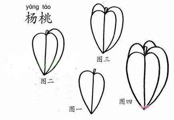 Illustration of how to draw star fruit for primary school students in simple strokes: how to draw star fruit