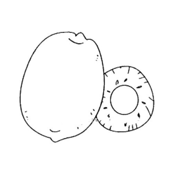 Kiwi simple drawing picture