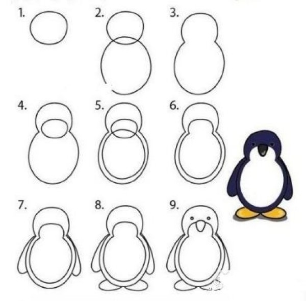 Cute penguin simple drawing steps