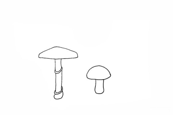 A set of simple drawing tutorials for mushrooms