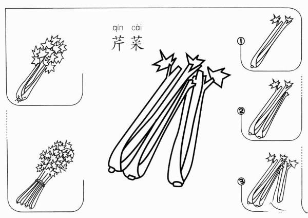 How to draw celery