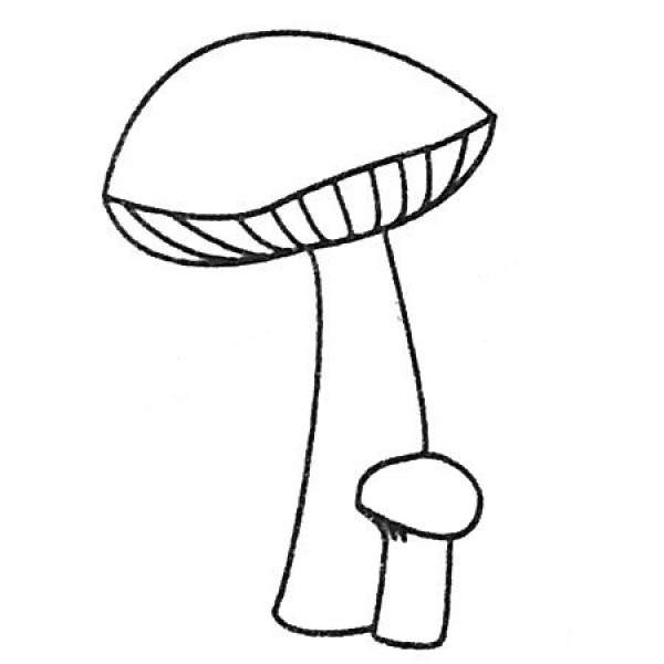 Simple steps to draw mushrooms