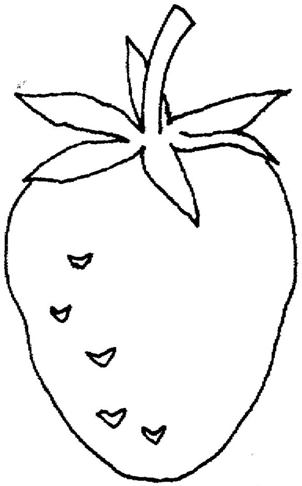 Kindergarten teaches drawing strawberries