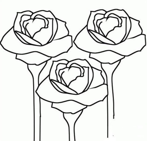 Kindergarten simple drawing pictures of roses