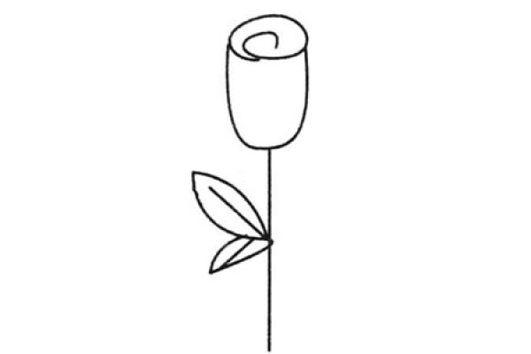 Complete collection of simple rose drawings and drawing steps