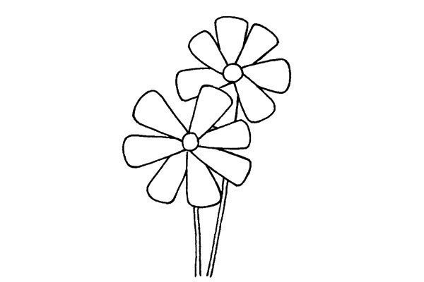 Learn to draw beautiful chrysanthemums in four steps