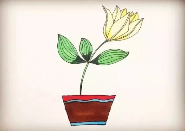 How to draw lily potted plants