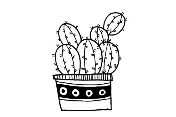 Two potted cacti