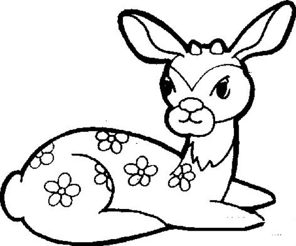 Teach you how to draw a cute sika deer