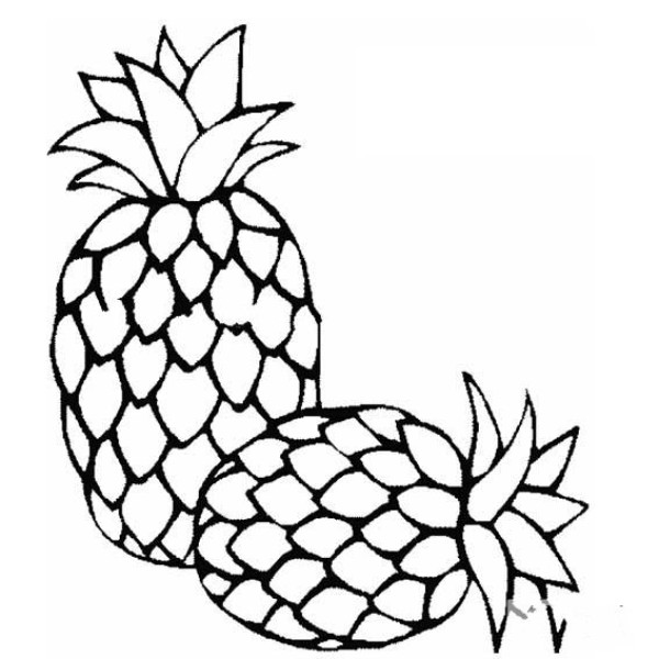 Delicious pineapple simple drawing picture