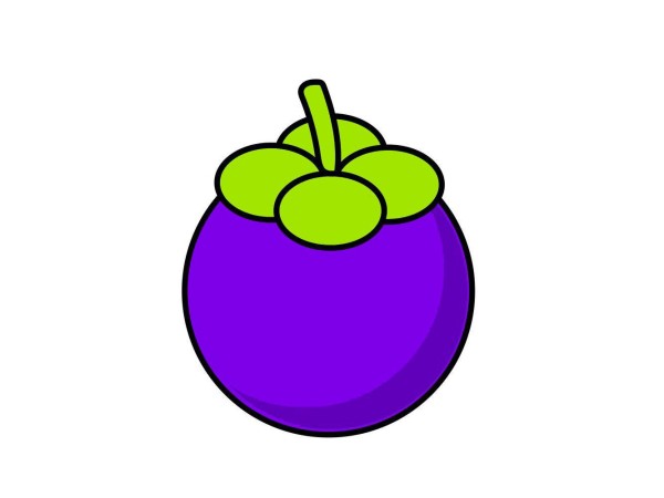 How to draw mangosteen