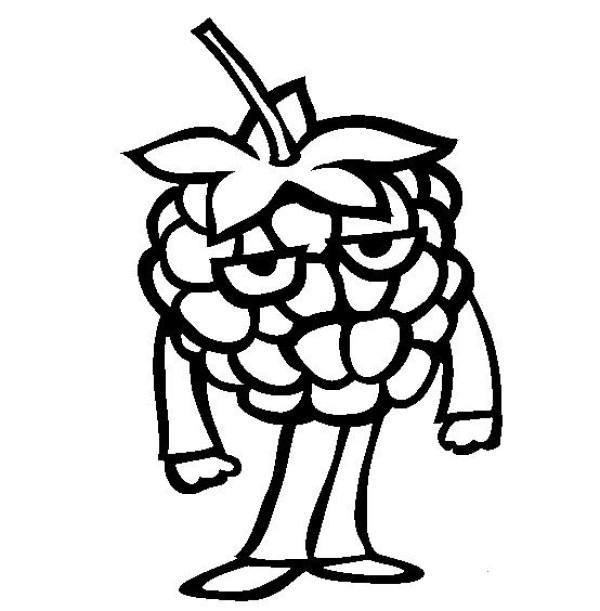 Complete collection of simple drawings of fruits Cartoon raspberries