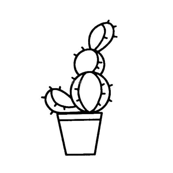 Simple drawing of cactus in flower pot