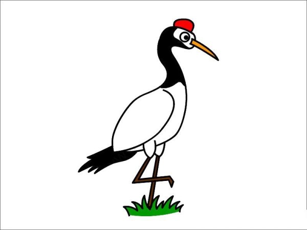 How to draw a red-crowned crane