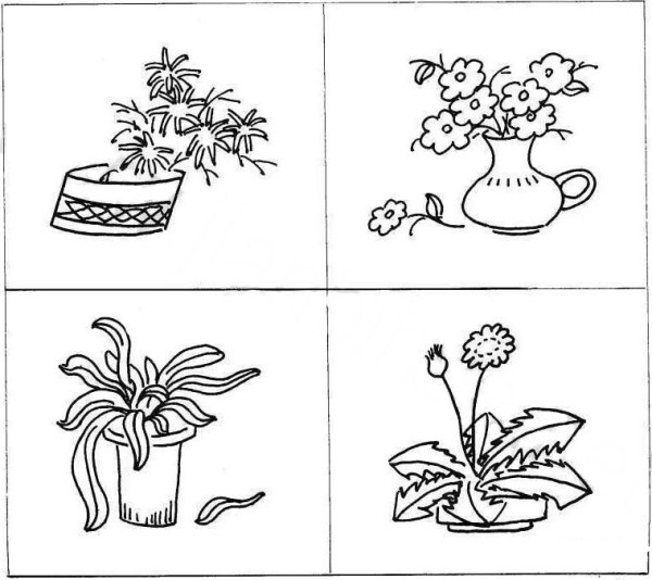 Plant bonsai simple drawing