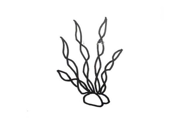 6 simple drawing pictures of undersea plants