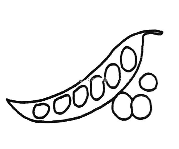 6 simple drawing pictures of peas