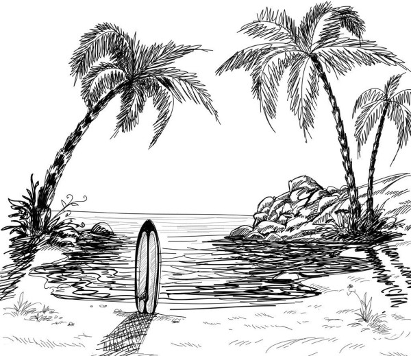 Simple drawing picture of coconut tree in summer