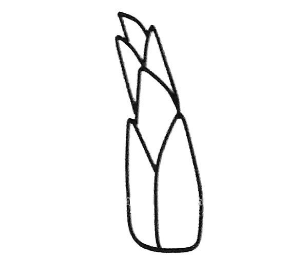 6 simple drawing pictures of bamboo shoots