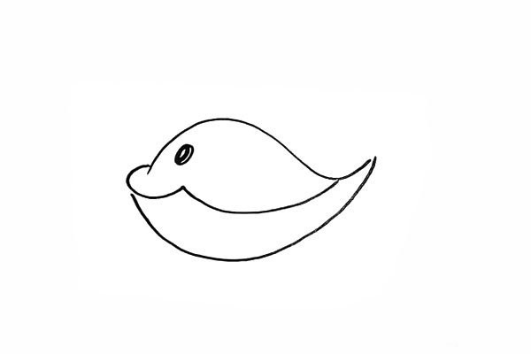 How to draw a cute whale