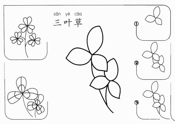 How to draw clover